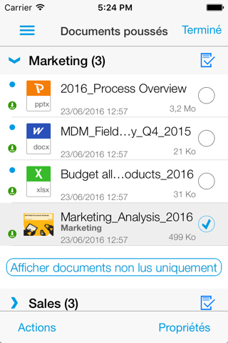 SAP Document Center screenshot 3