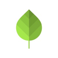 WIFI SGreen - Overseas wifi pour PC