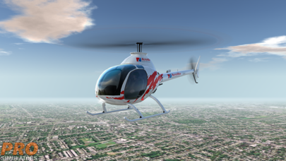Pro Helicopter Simulator screenshot 2