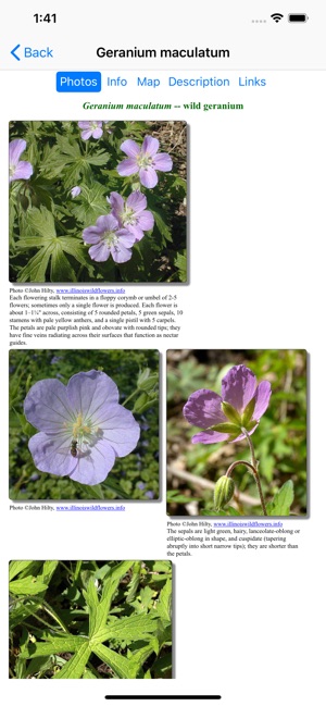 Delaware Wildflowers(圖3)-速報App