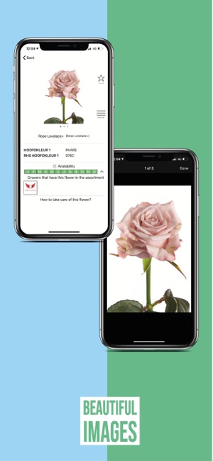 FlowerBook(圖1)-速報App