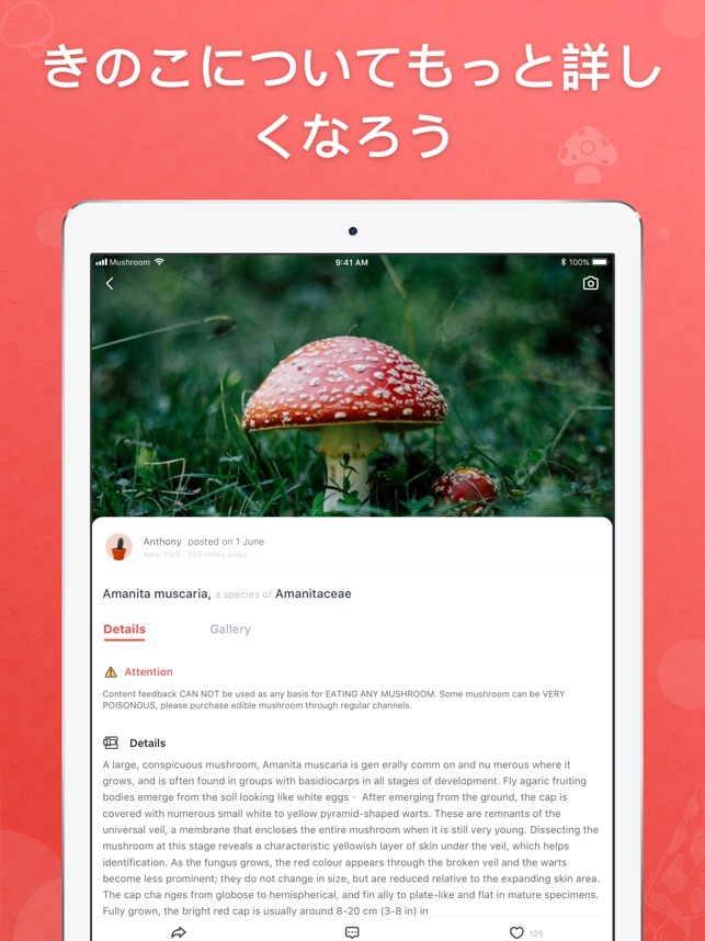 Picture Mushroom 1秒キノコ図鑑 をapp Storeで