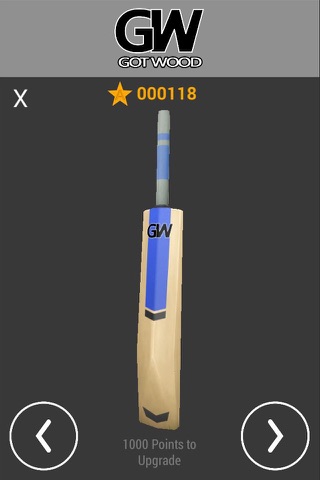 Cricket Pro 19 screenshot 4