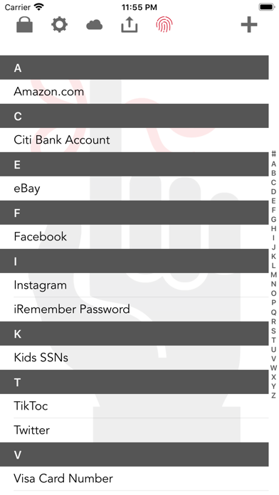 iRemember - Password Manager screenshot 2