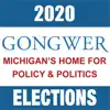 2020 Michigan Elections App Feedback