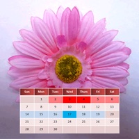 Mein Menstruationskalender