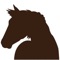 This app allows you to centralize all the information about your horse or horses
