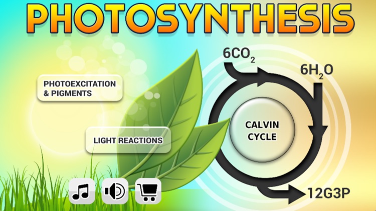 Biology Photosynthesis Pro