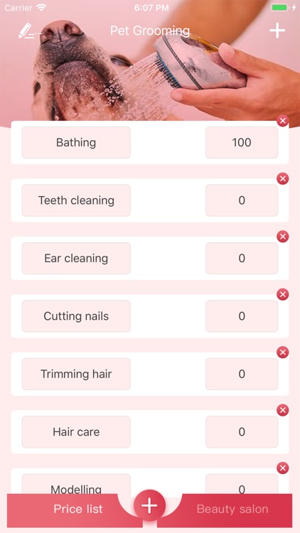 Pet Grooming - My Pet