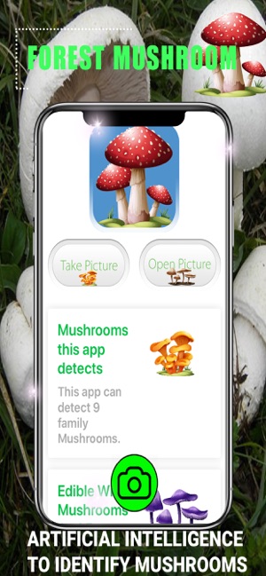 Forest Mushroom