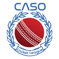 Caso Cricket League apk