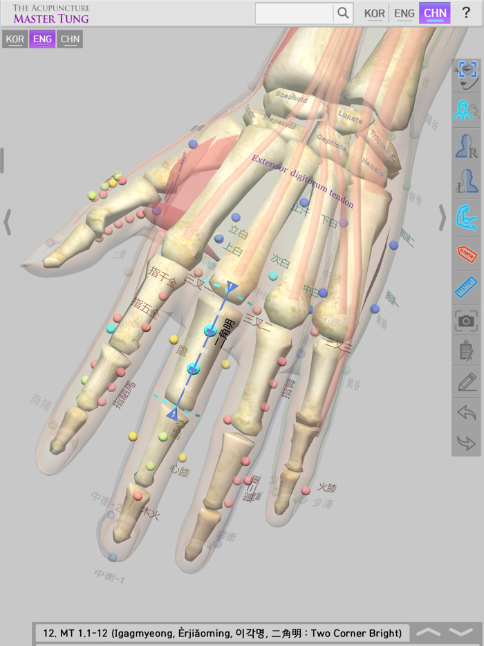 The Acupuncture Master Tung