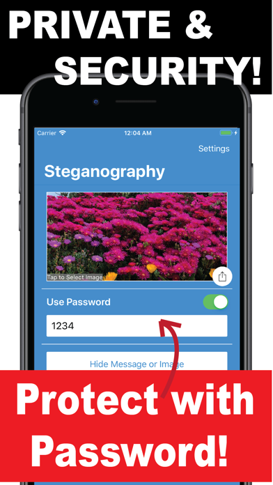 Steganography-Encrypt Message screenshot 3