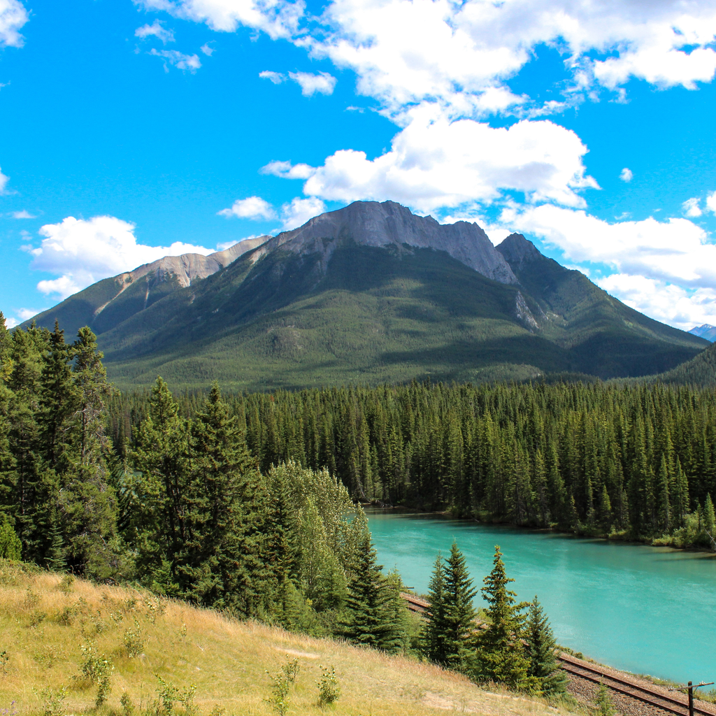 Get Healing nature sounds for iOS, iPhone, iPad Aso Report