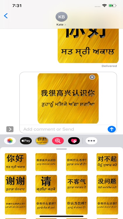 Chinese Punjabi screenshot-2