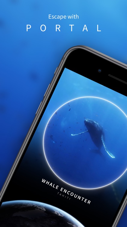 Portal - Sleep, Relax & Focus screenshot-0