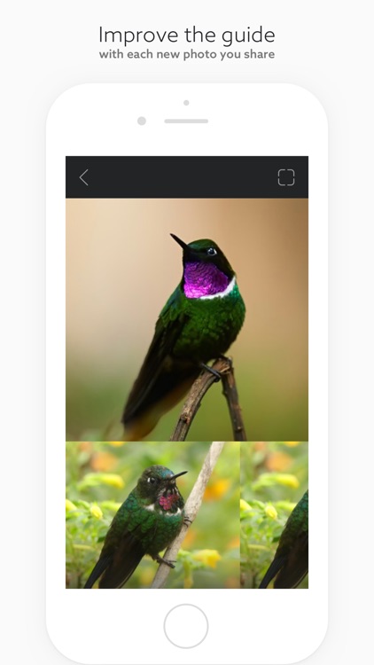 Birds by Fieldguide screenshot-5