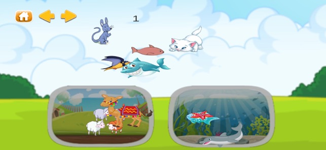 Animal World - enjoy learning(圖6)-速報App