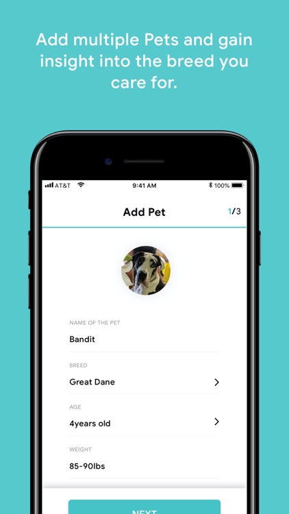 FurEver Friends APP