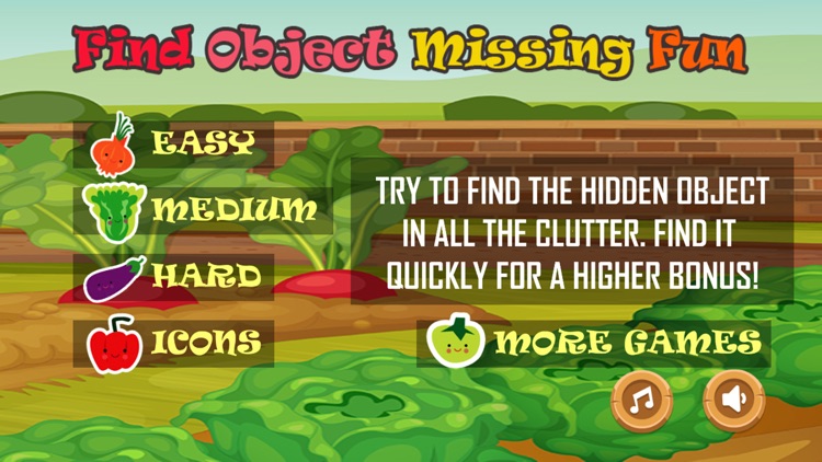 Find Object Missing Fun