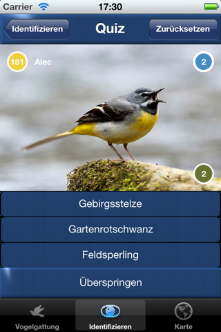 Vogel Id Gartenvögel bestimmen - náhled
