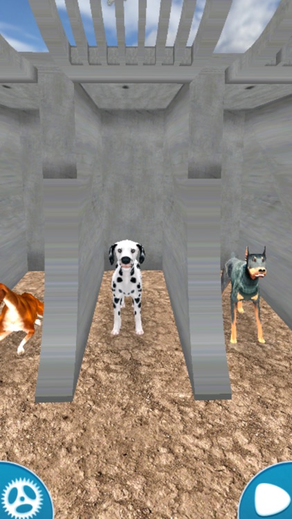 Dog Racing Simulator 2020