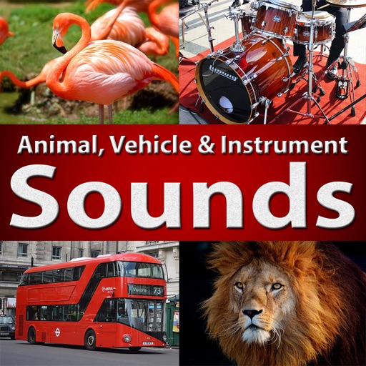 Identify Sounds by Their Songs icon