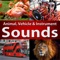 You can teach your kids and your mind to recognize these animal sounds, and you can also communicate with these animals by using these sound effects