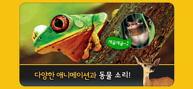 National Geographic Kids - 한국어(圖3)-速報App