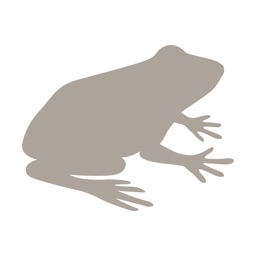 Fieldstone Guide: Amphibians