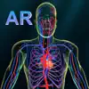 AR Vascular system App Delete