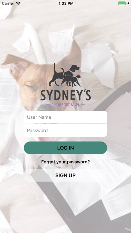 Sydney's Pet Resort and Spa