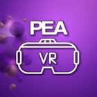 PEA VR FOMM