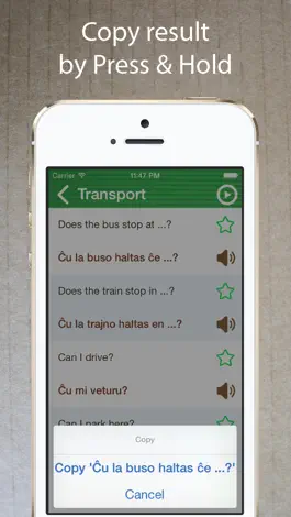 Game screenshot Learn Esperanto Phrasebook Pro hack