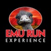 Emu Run Experience