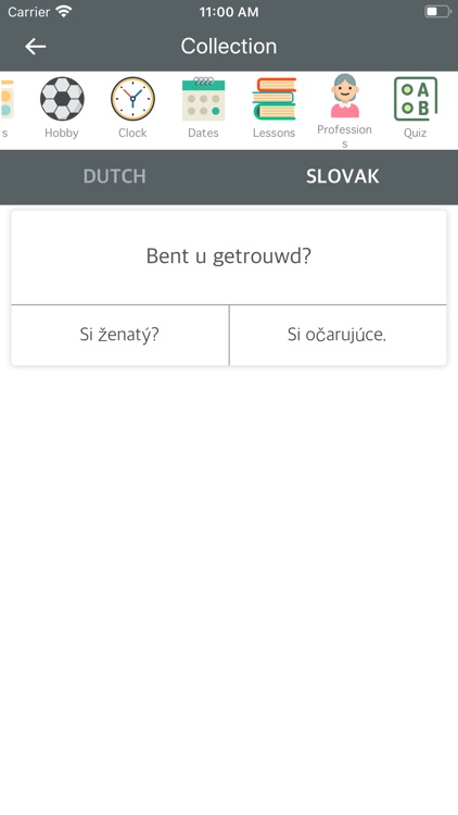 Dutch Slovak Dictionary screenshot-5