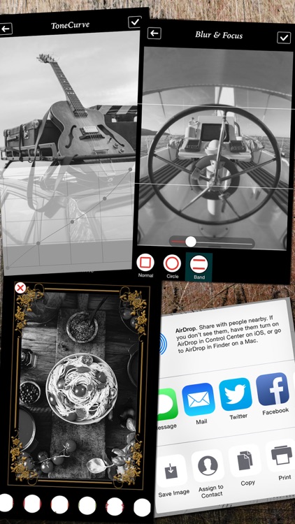 Black and White Picture Camera screenshot-4