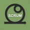 Pass your Agile Scrum foundation exam with 260 questions and explanations