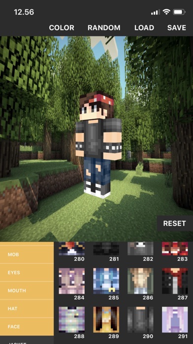 Custom Skin Creator screenshot 5
