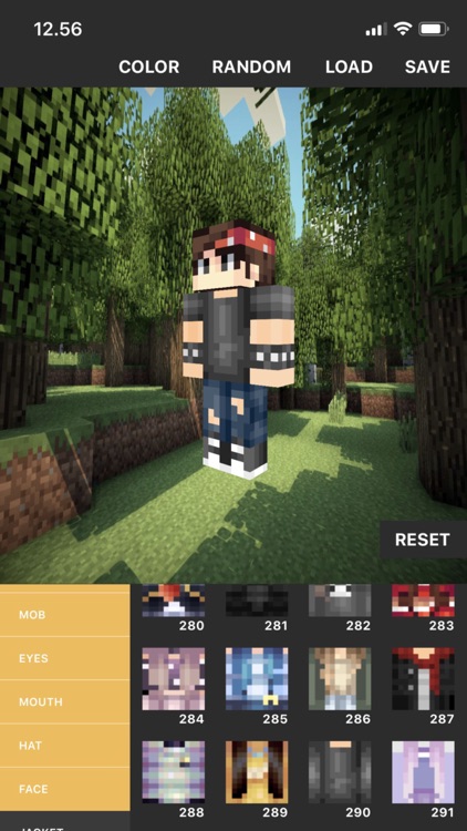Custom Skin Creator screenshot-4