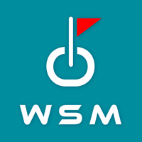 시티존 WSM