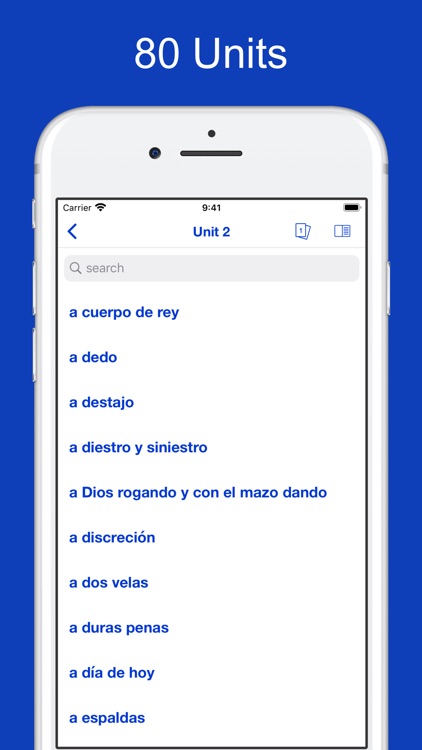 Spanish Idiom Dictionary screenshot-4