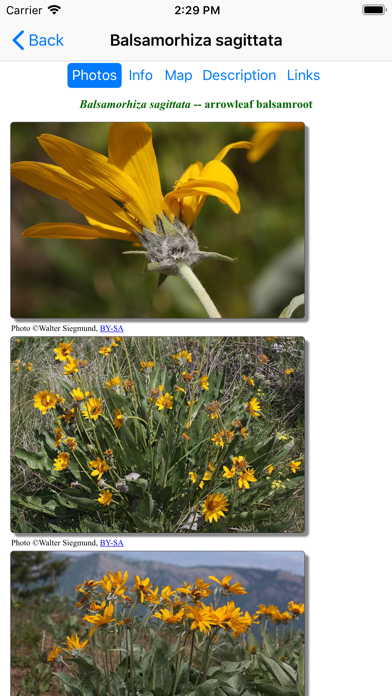 How to cancel & delete Arizona Wildflowers from iphone & ipad 3