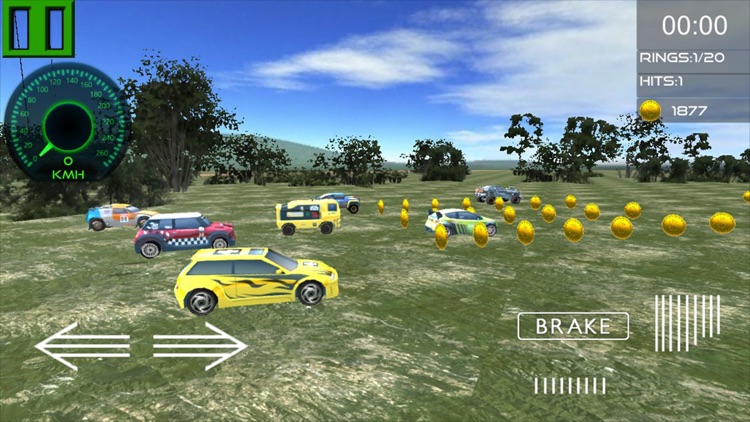 Offroad Drift Race Driving Sim screenshot-3