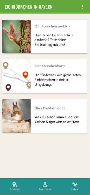 Eichhörnchen in Bayern(圖1)-速報App