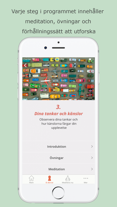 Mindfulness & Medkänsla screenshot 3