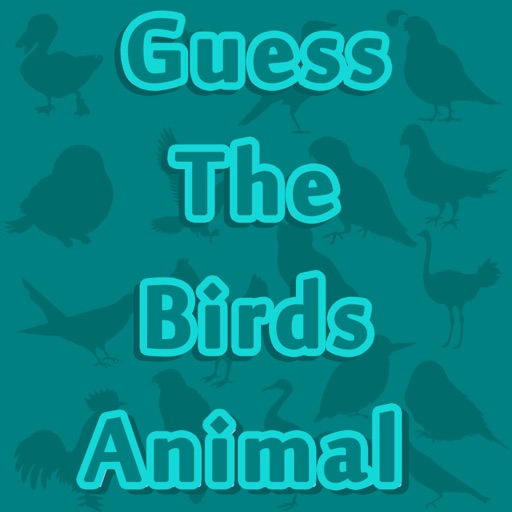 Master Guess The Animal Bird