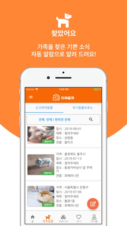 지켜줄개 screenshot-3