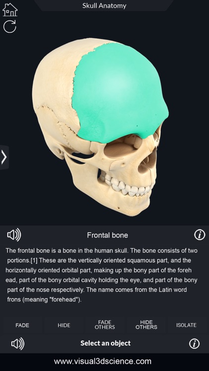 My Skull Anatomy screenshot-5