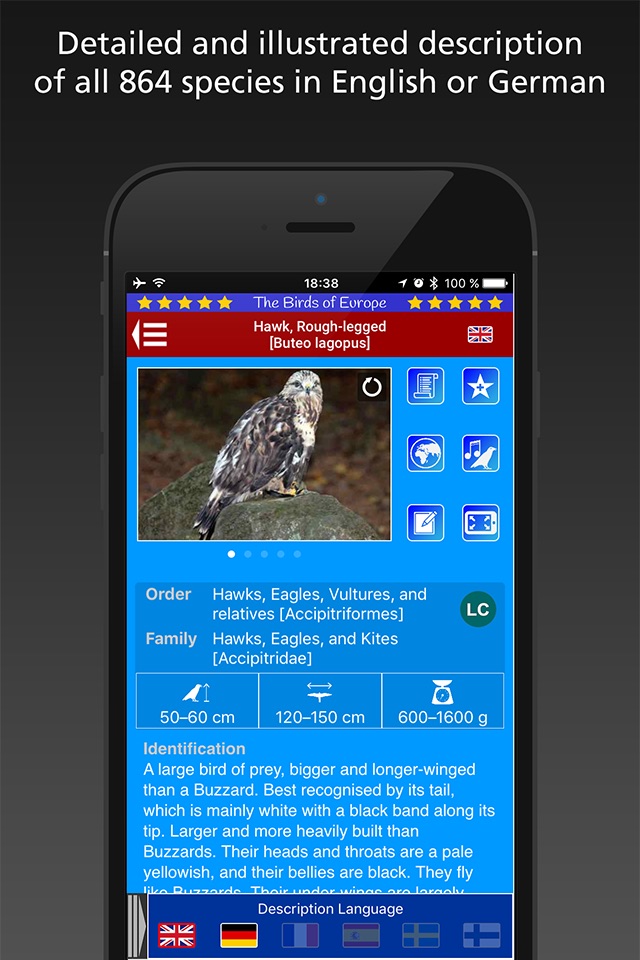 Birds of Europe screenshot 3
